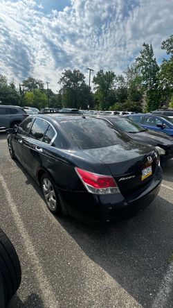 Honda accord