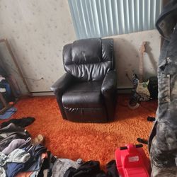 Assisted Stand Up Electric Recliner