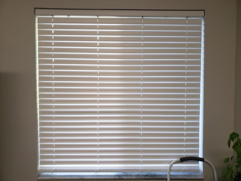 Blinds - Cordless, No Wand Tilt 48" X 48"
