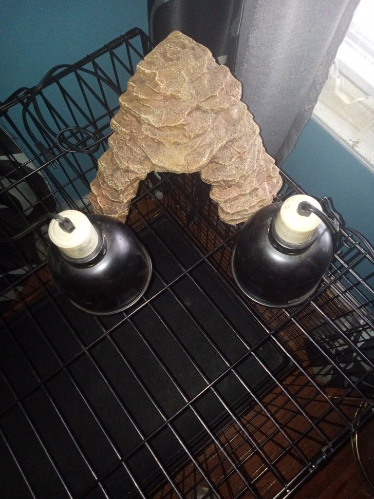 Reptile Lamps Plus Rick Decor