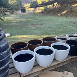 Terracotta Pots