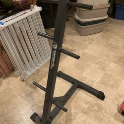 Iron Grip Strength IGS TSA-41 Weight Plate Rack 