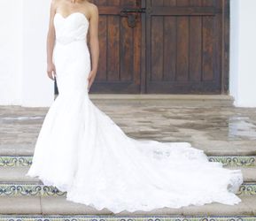 Wedding Gown - Pronovias Dress Collection 2013