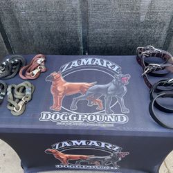 Dog Collars And Leashes 