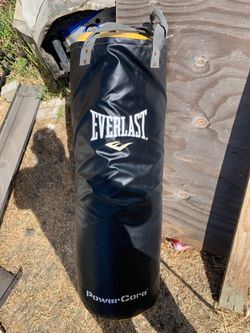 Everlast heavy bag