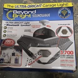Garage Speaker/light Combo