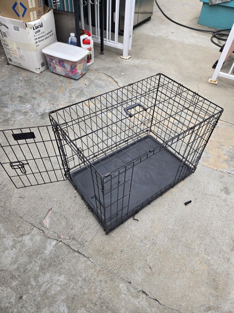 Kennel