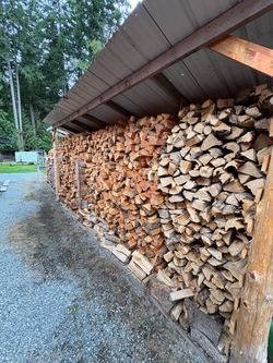 Seasoned dry firewood