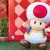 Chonky Toad