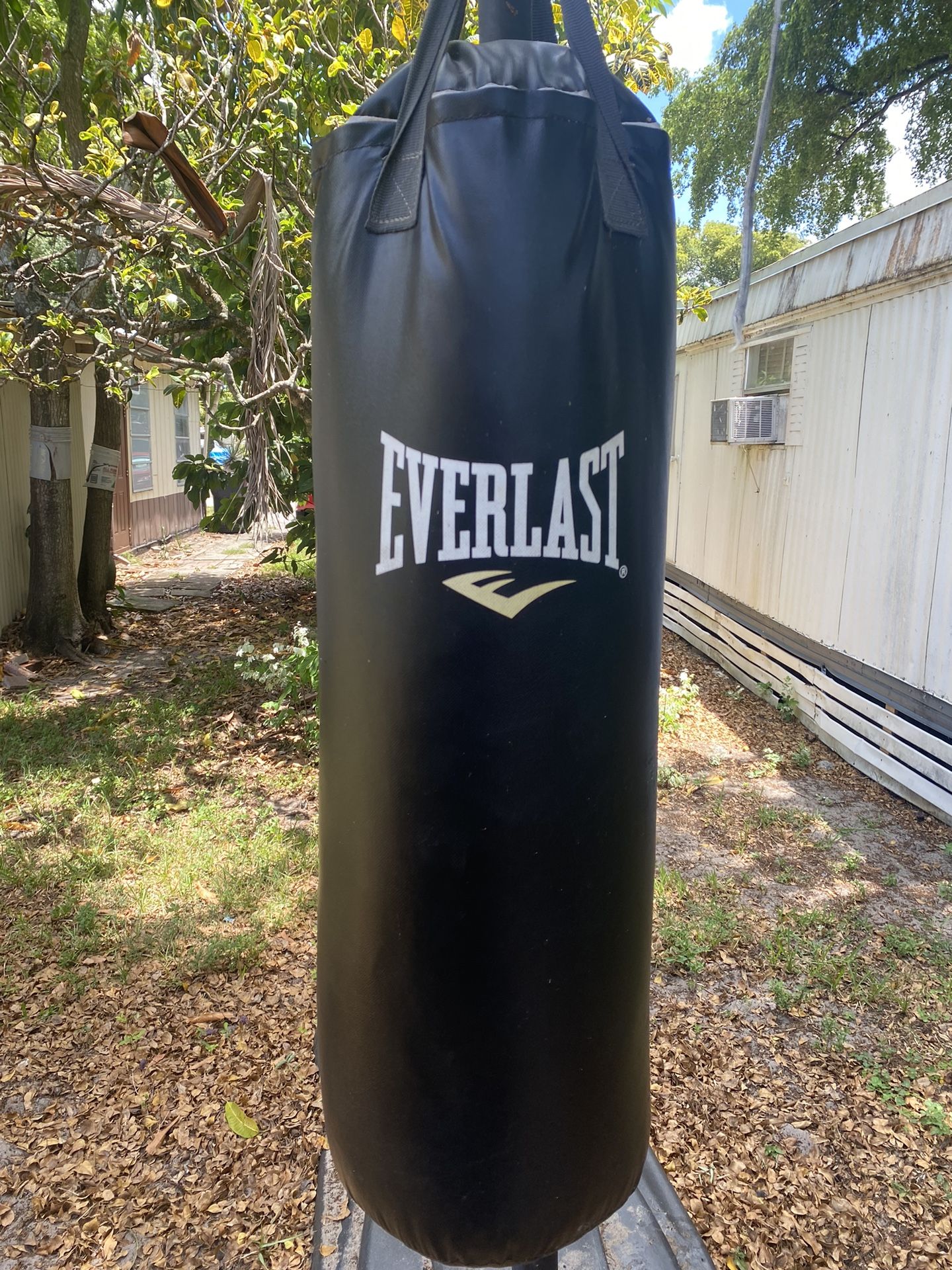 Everlast Punching Bag