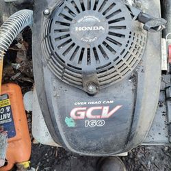 Cub Cater wood chipper!