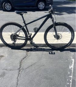 Specialized MTB Size Large