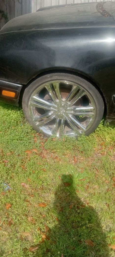 20" RIMS