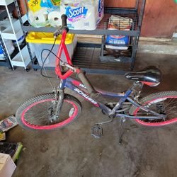 Schwinn Falcon