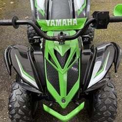Yamaha Raptor 700R (with Charger)