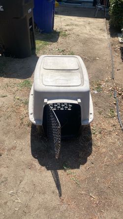 Big cat cage