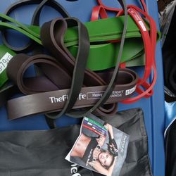 The Fit Life Pull Up Bands