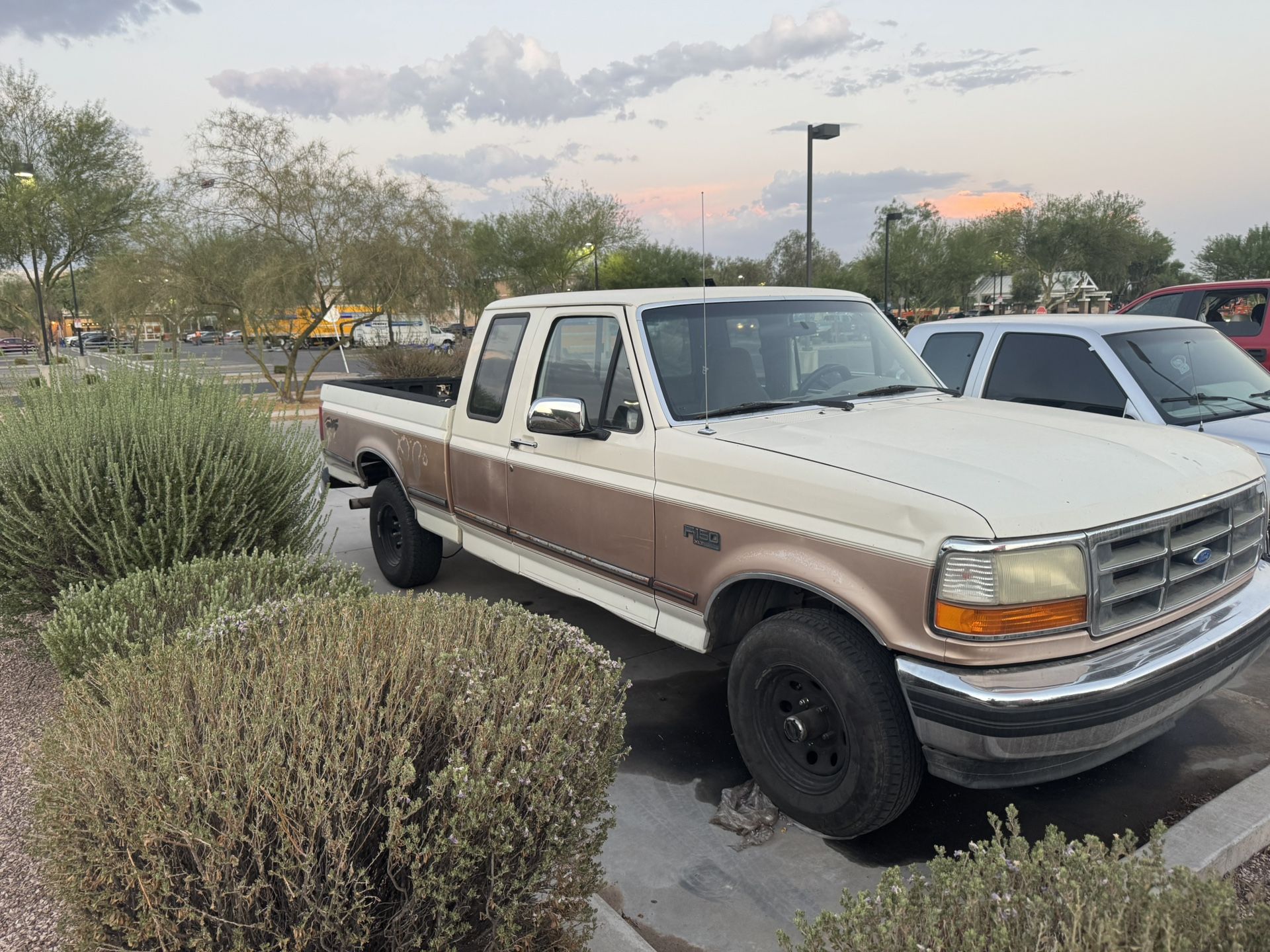 1995 Ford F-150
