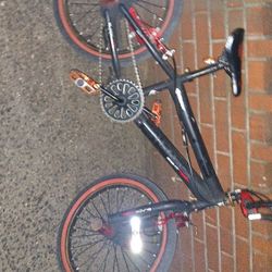 BMX Kids 