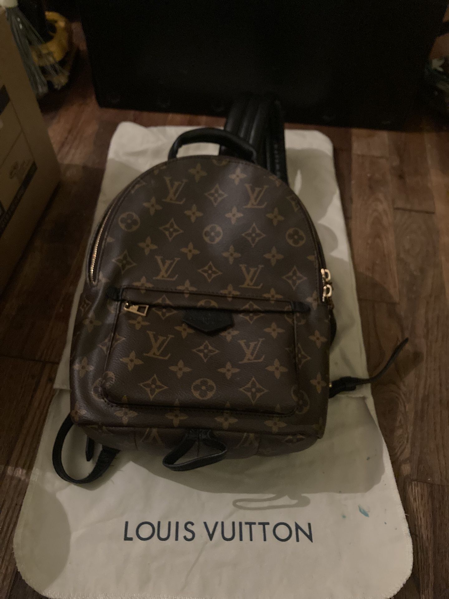 Louis Vuitton Palm Springs Monogram Backpack