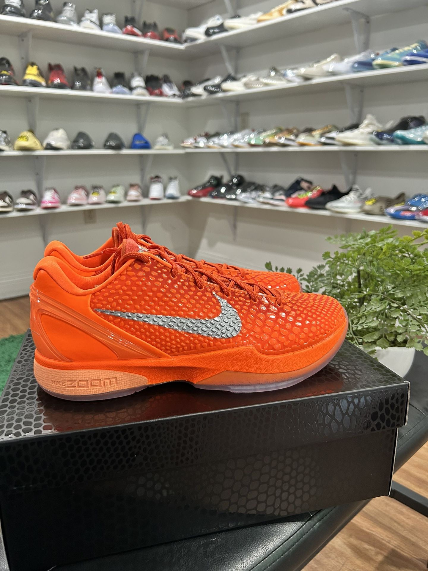 11.5M - Brand New Nike Kobe 6 Total Orange 100% Authentic