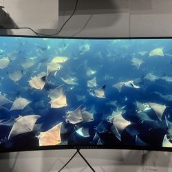 RTX 3080 Gaming Laptop + 4K 240Hz OLED Monitor Bundle (Portable + Home Setup)