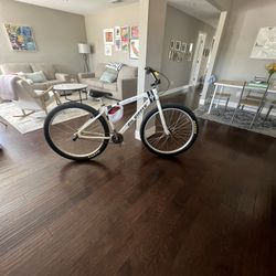 Big Ripper City Ground