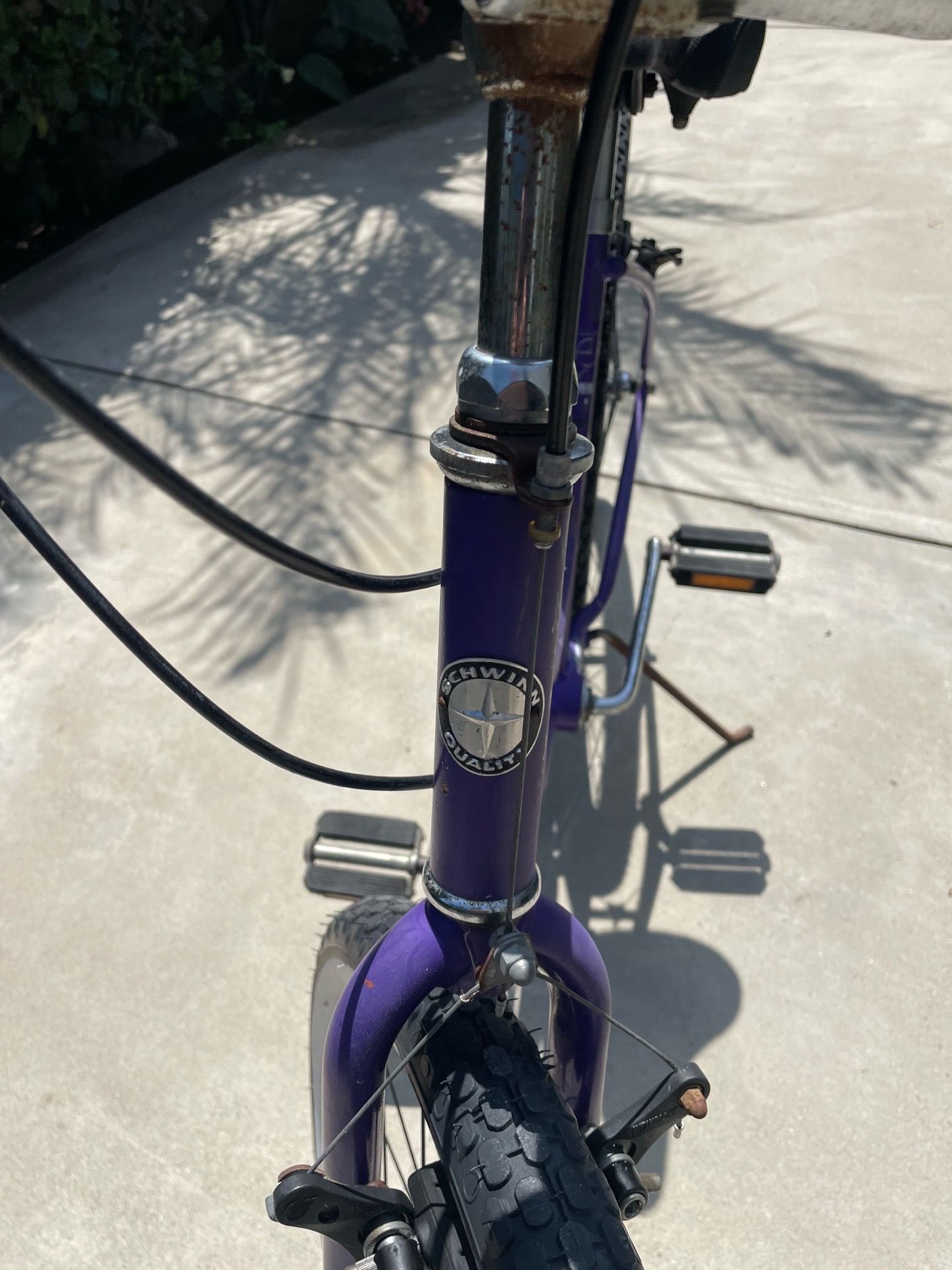 Vintage Schwinn Cruiser 6