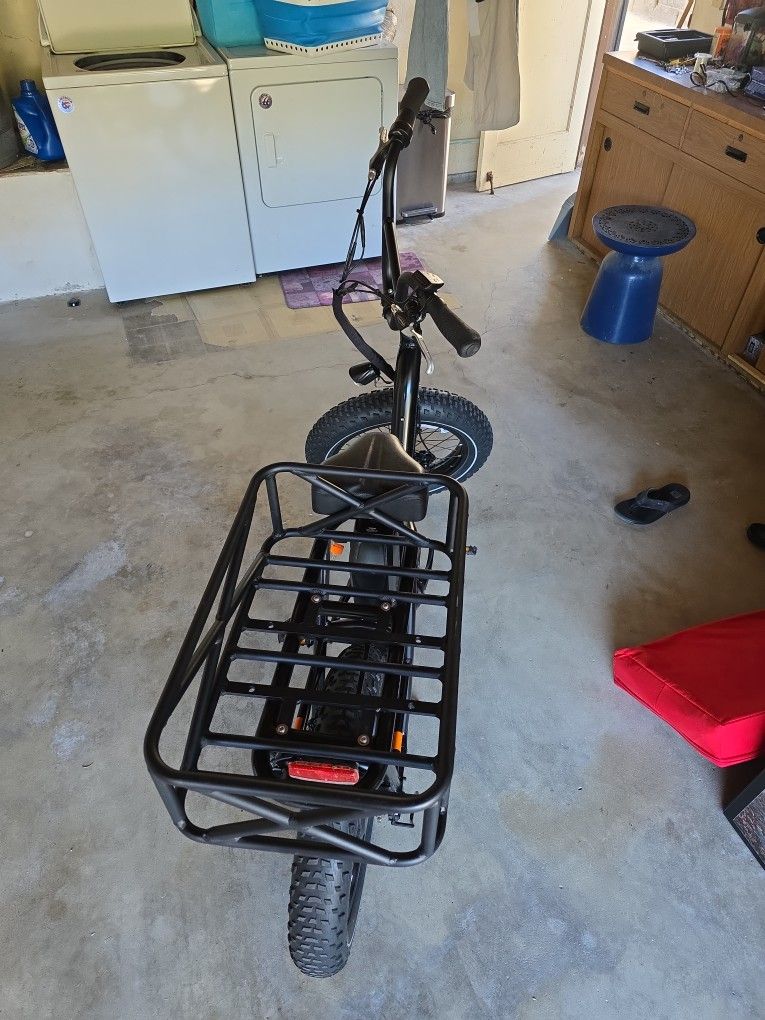 Rad 2 Electeic Bike