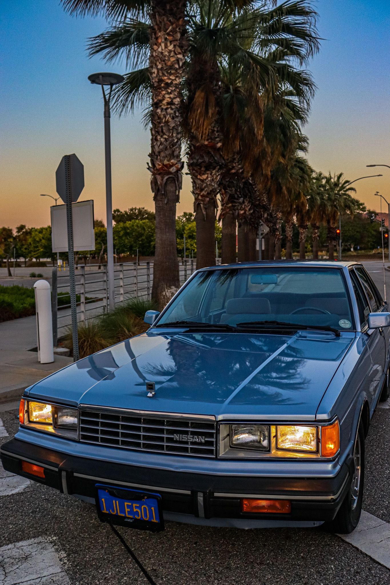 1984 Datsun Maxima
