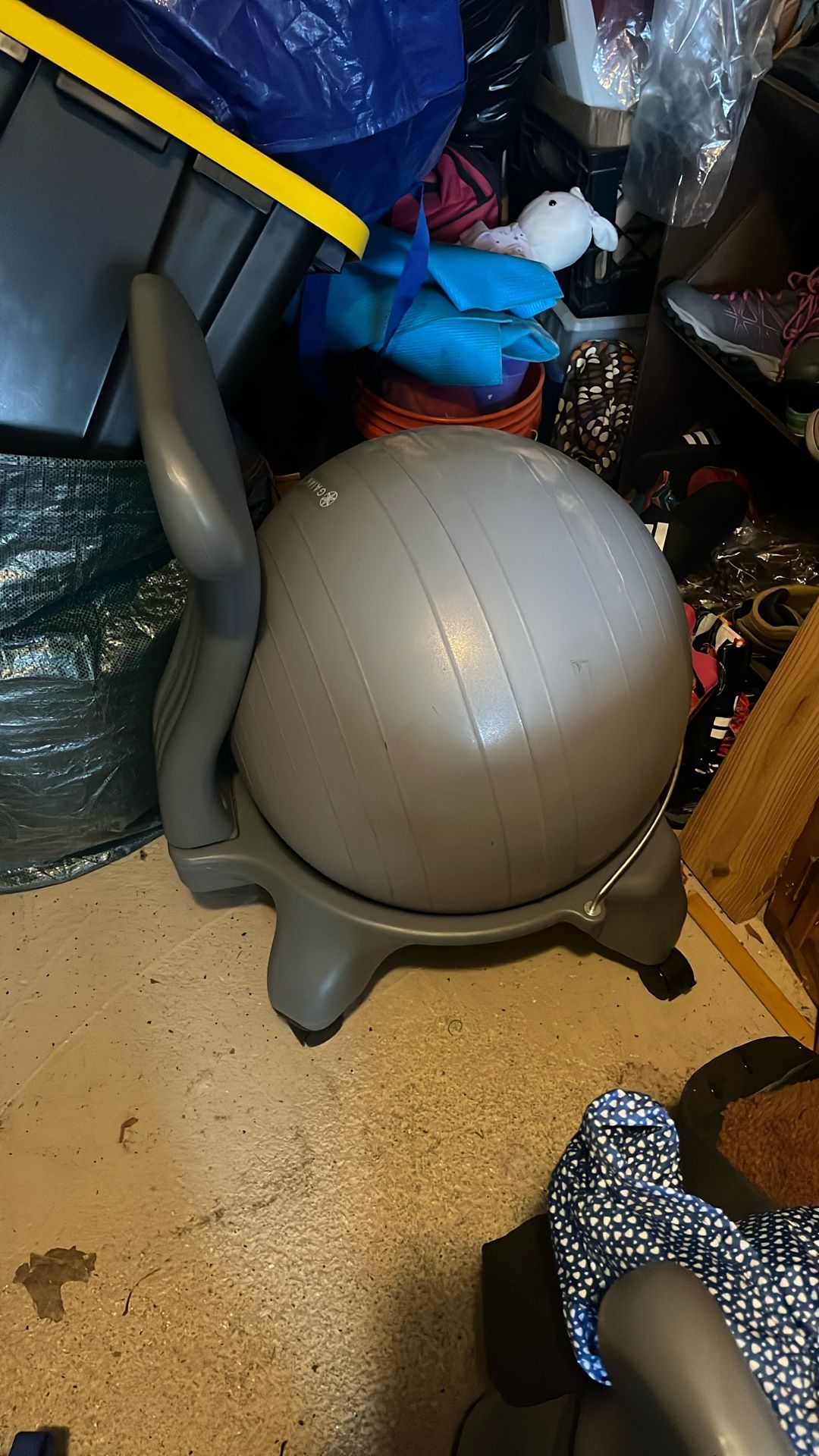 Ergonomic Balance Ball Office Chair