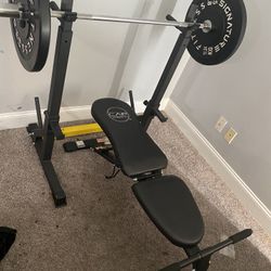 Home Bench / Squat Rack And  Bumper Plates 