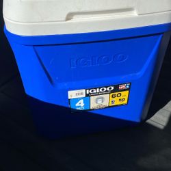 Iglooo