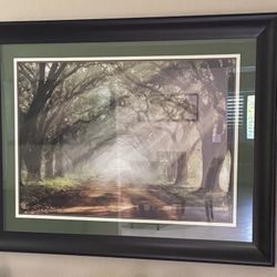 Glass And Dark Brown Wood Framed Tree Landscape Picture (46” W X 36” H) 