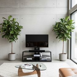 Black TV Stand / Entertainment Center – Modern Style