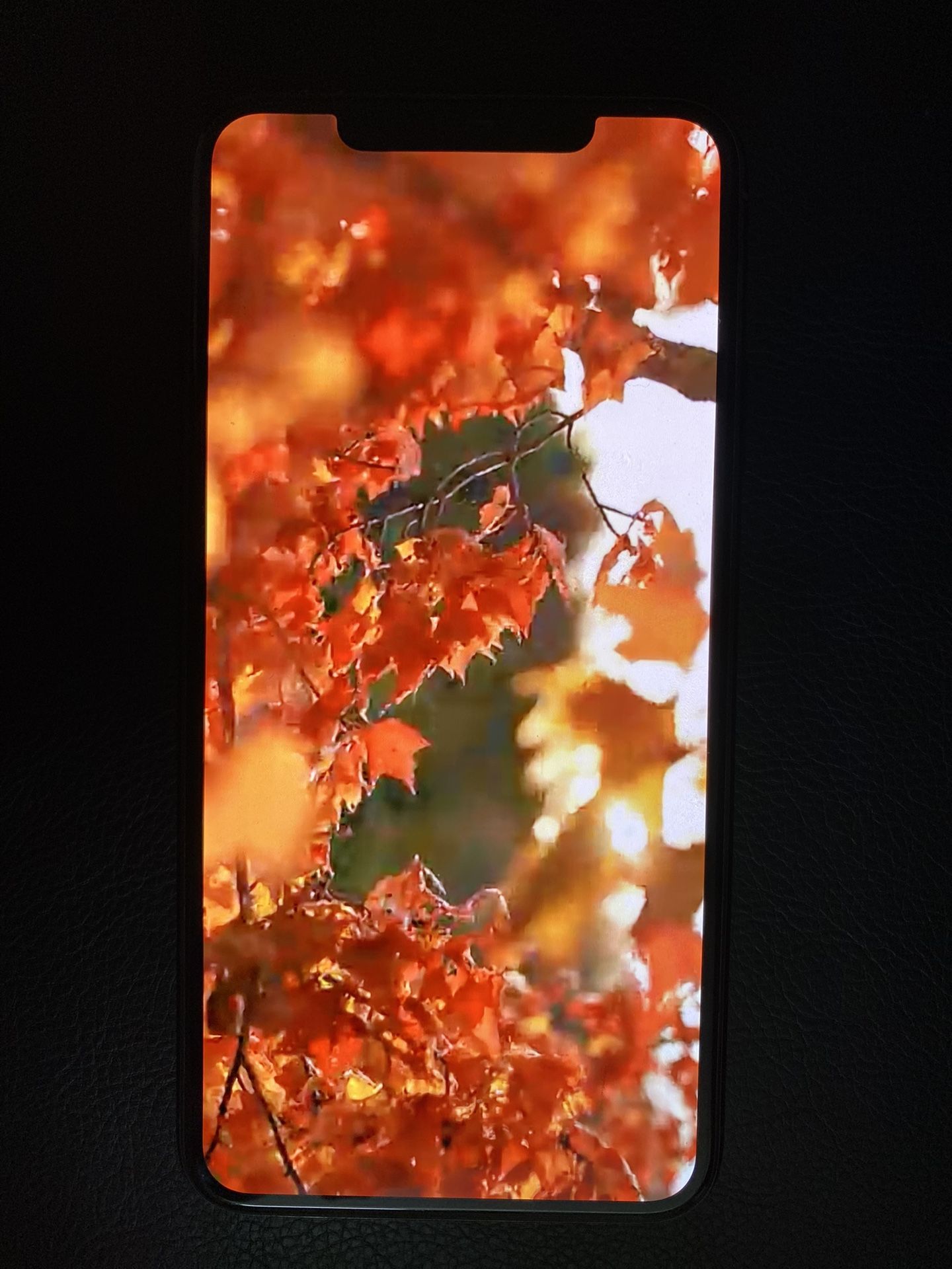 Apple 11 Pro Max Unlocked- 256 GB