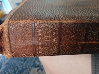 1894 Antique Bible