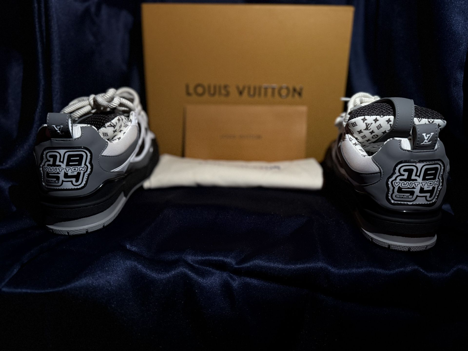 Louis Vuitton LV SKATE Sneakers
