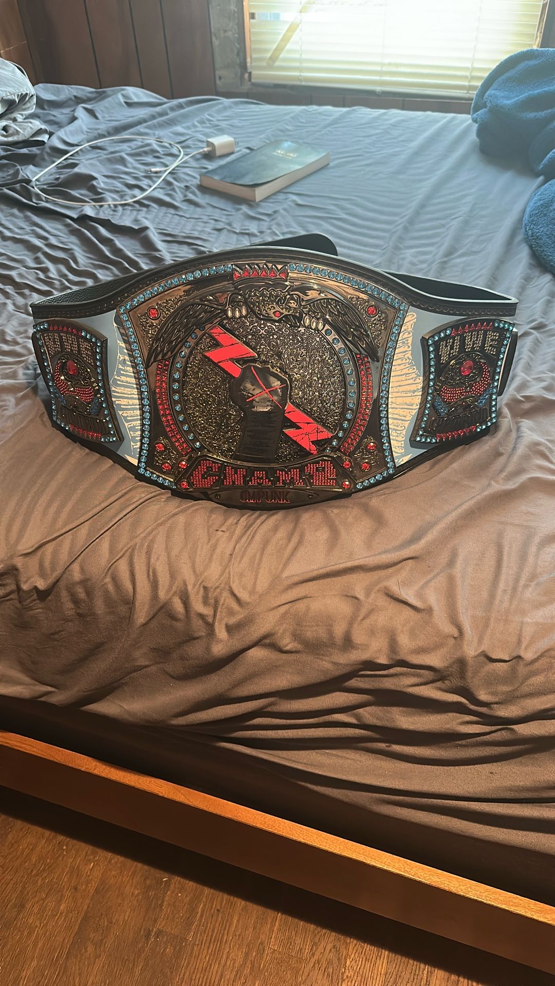 CM Punk WWE Title Spinner Belt