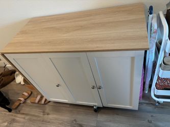 Craft Cart/Storage with Wheels
