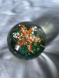 Starfish paperweight