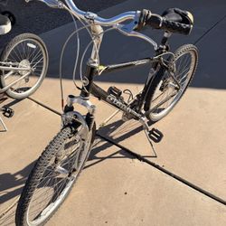 Adult Bike Bundle 