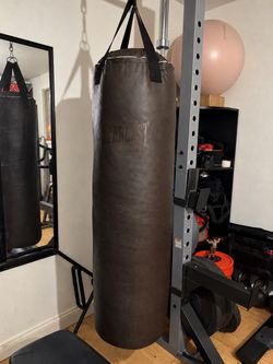 Everlast 100 lb Punching Bag + Gloves — $75 OBO
