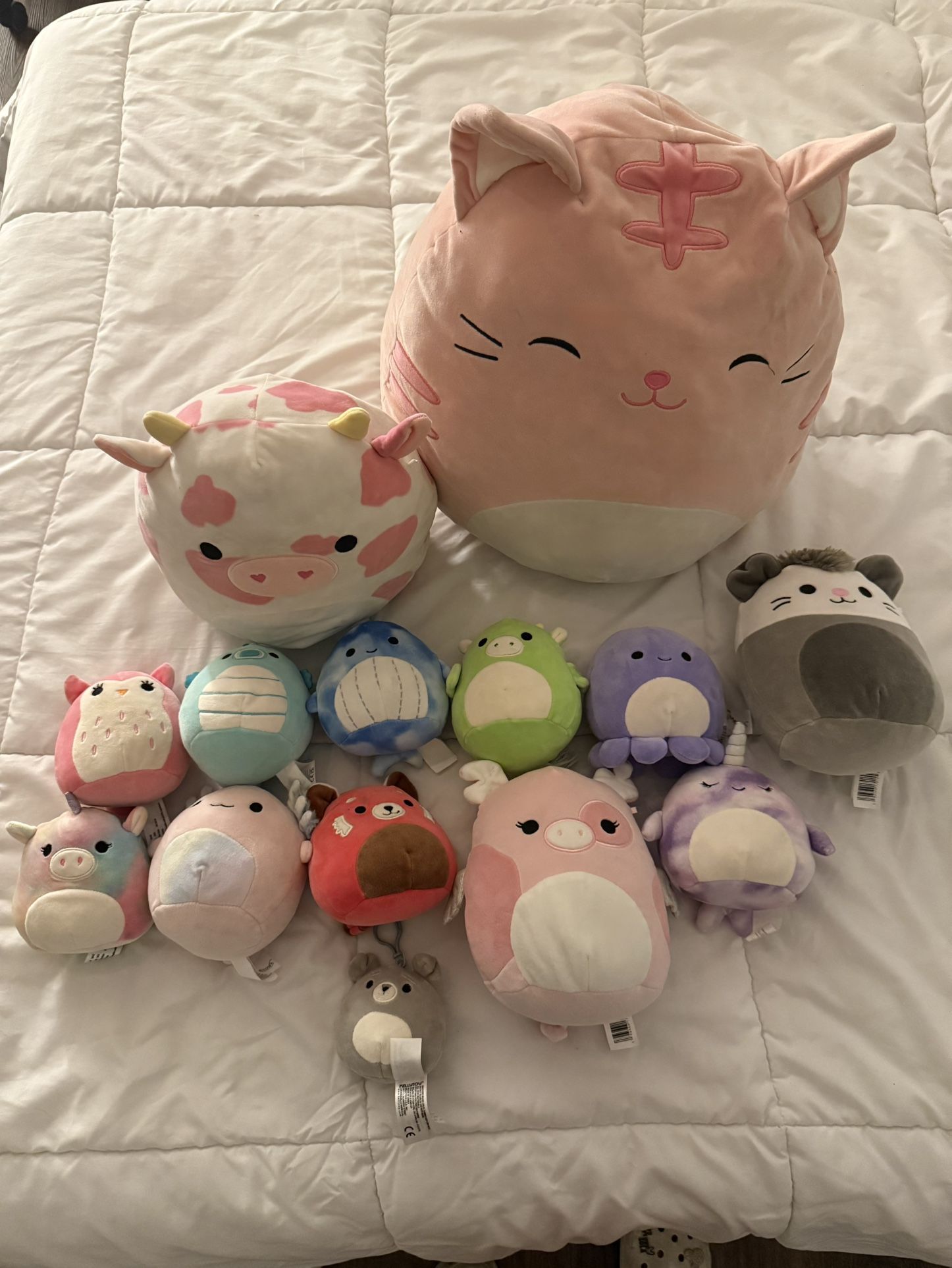 squishmallows