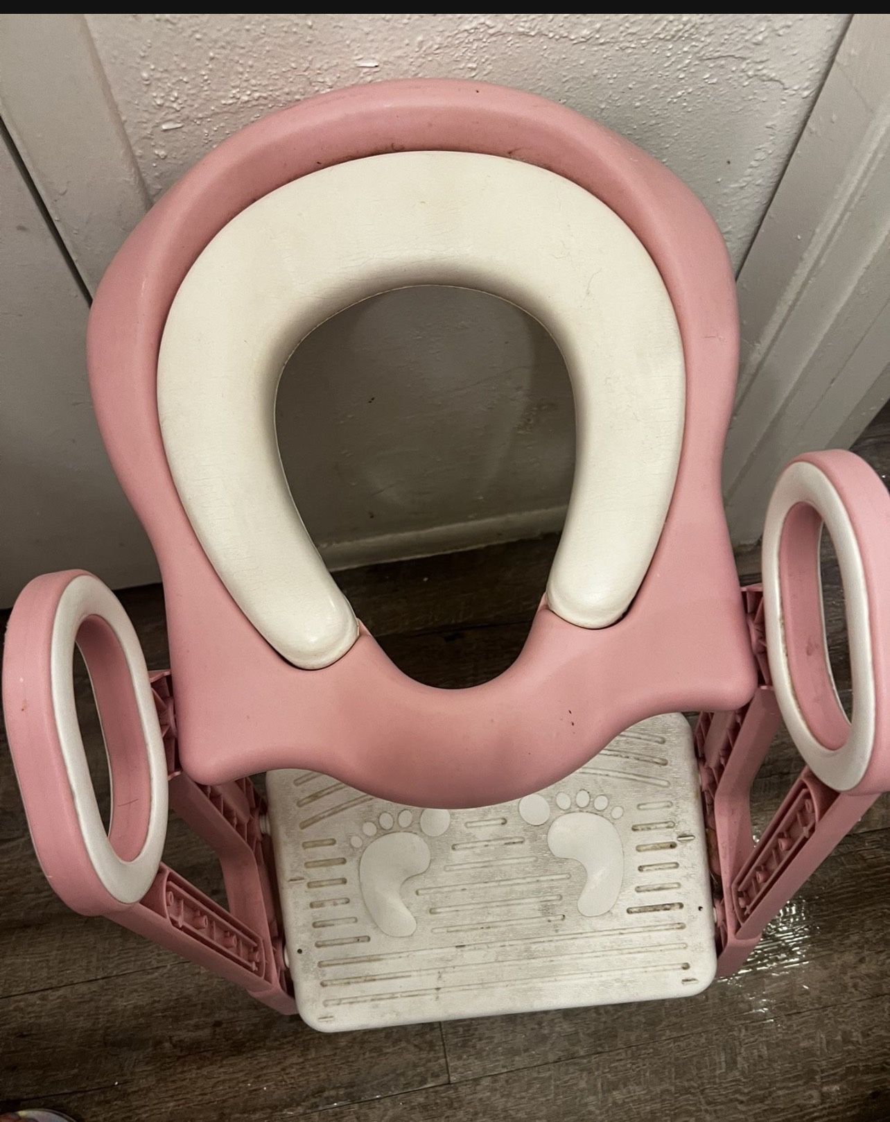 Potty Step Trainer