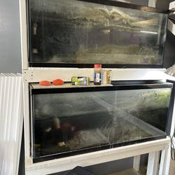 Fish Tanks Different Sizes 