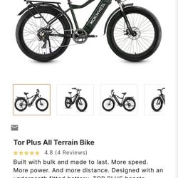 Electric Bike