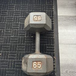 65 Lbs Dumbbell 