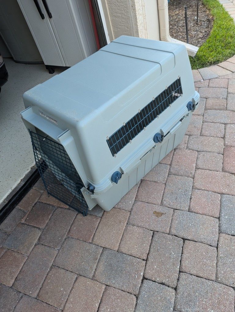 Dog Kennel