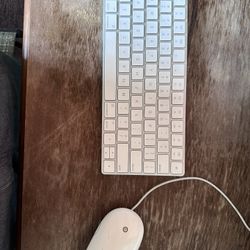 Apple Keyboard & Mouse 